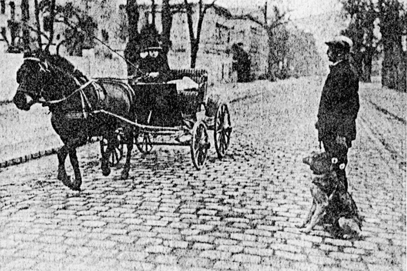 Links im Foto ist eine Kutsche, rechts steht ein wartender Mann mit sitzendem Hund neben sich, um die Kopfsteinpflasterstrasse zu überqueren.